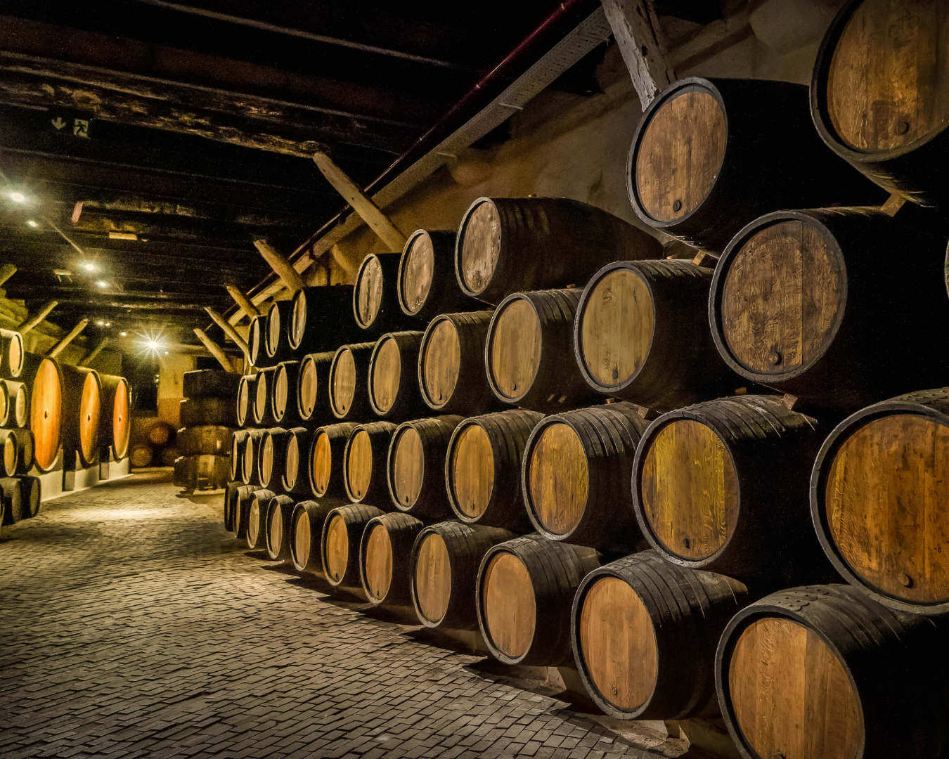I vini nel tempo